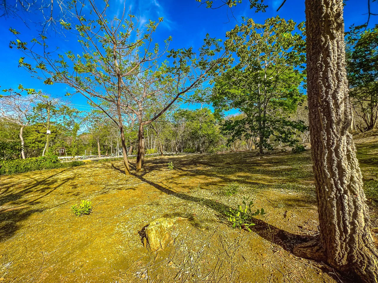 Jaguarundi #163: Premium Homesite in Las Ventanas de Playa Grande - Gallery image 10