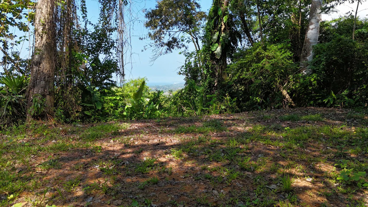 The Crown Jewel Ocean View Lot Hatillo - Gallery image 12