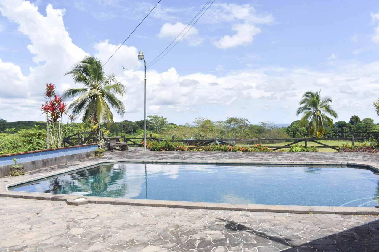 Serene Jungle Farm in Limon Province - Gallery image 2