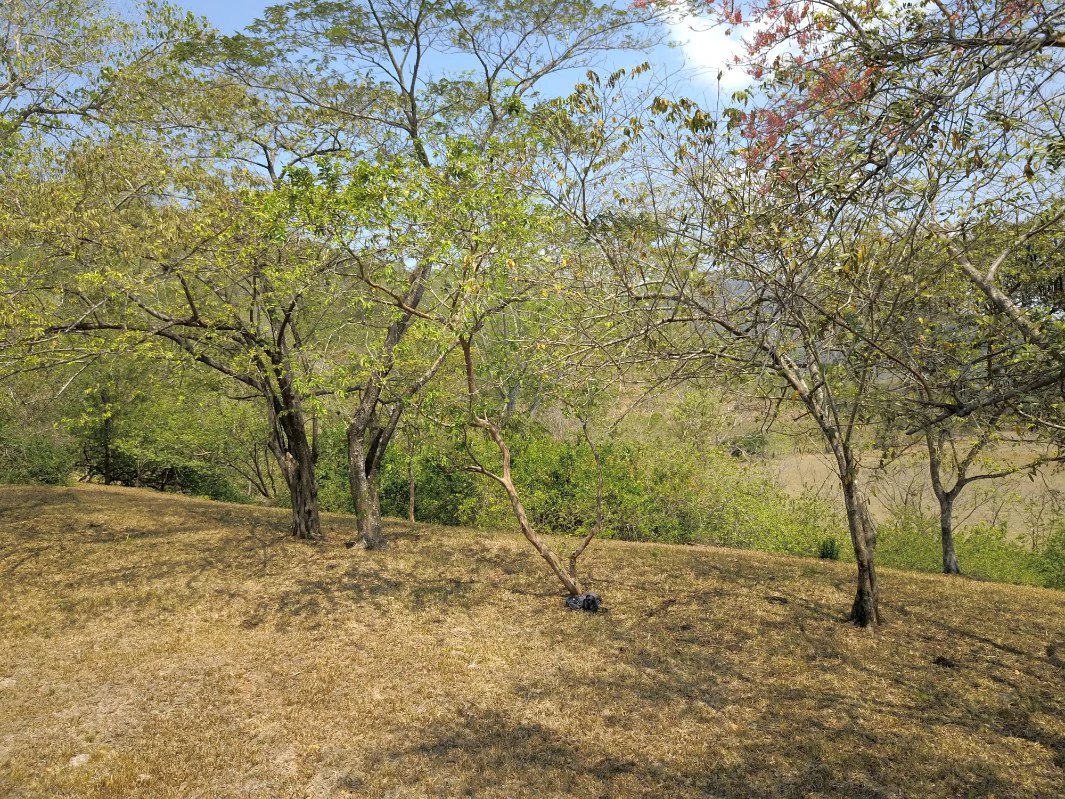 Stunning Views in Nandayure Valley -Amazing land near Bejuco and Pilas beaches Path - Gallery image 5