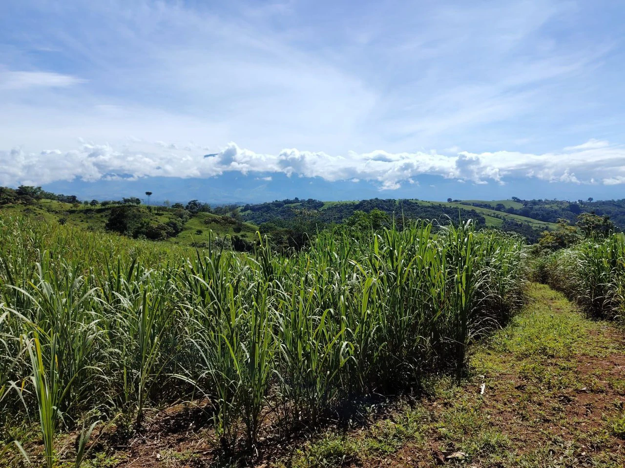 SE VENDE PROPIEDAD EN CAJÓN, COSTA RICA.: Mountain Home Construction Site For Sale in Cajón - Gallery image 20