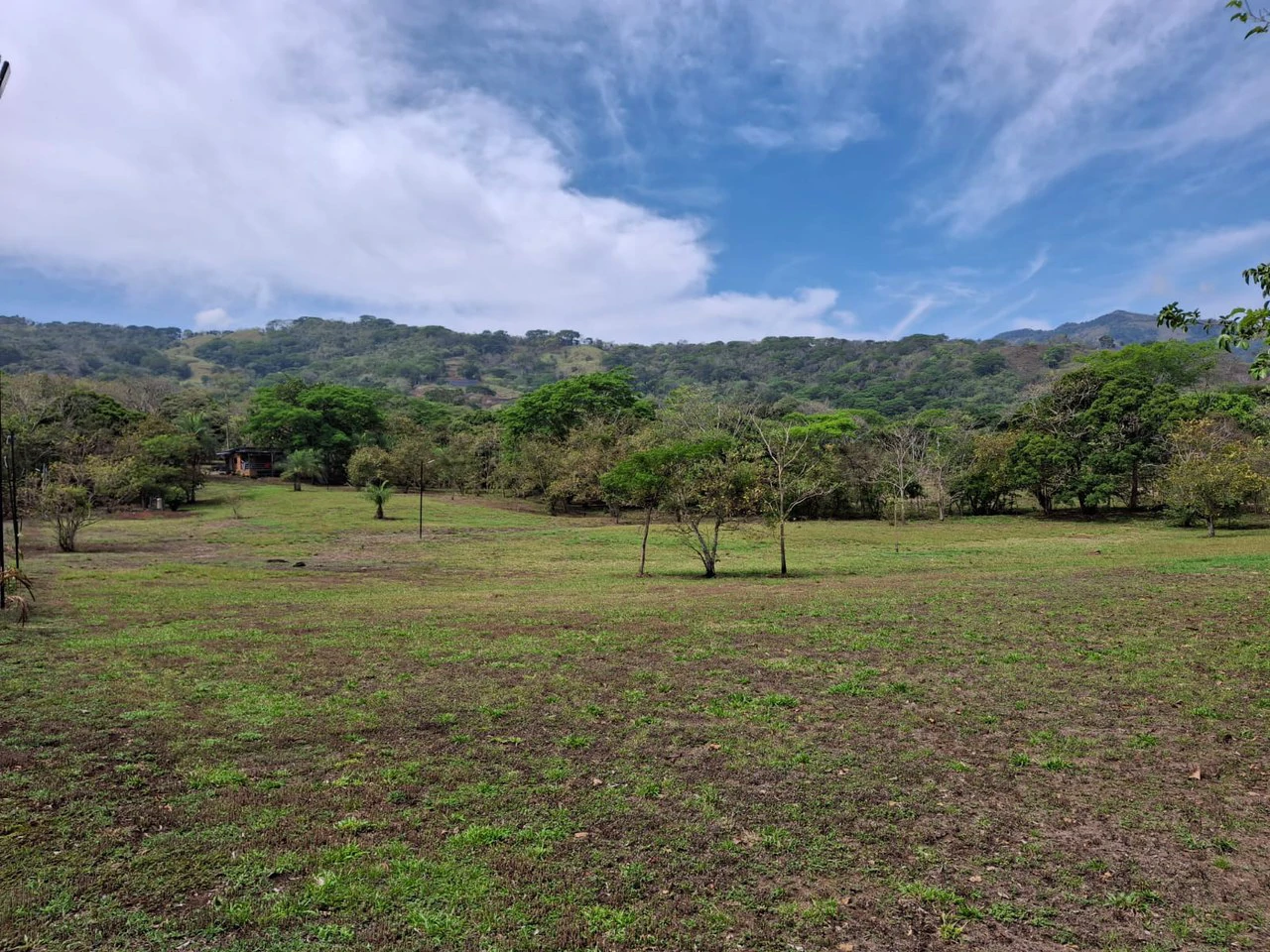 Finca Nature: Beautiful Private Finca near Atenas! - Gallery image 3