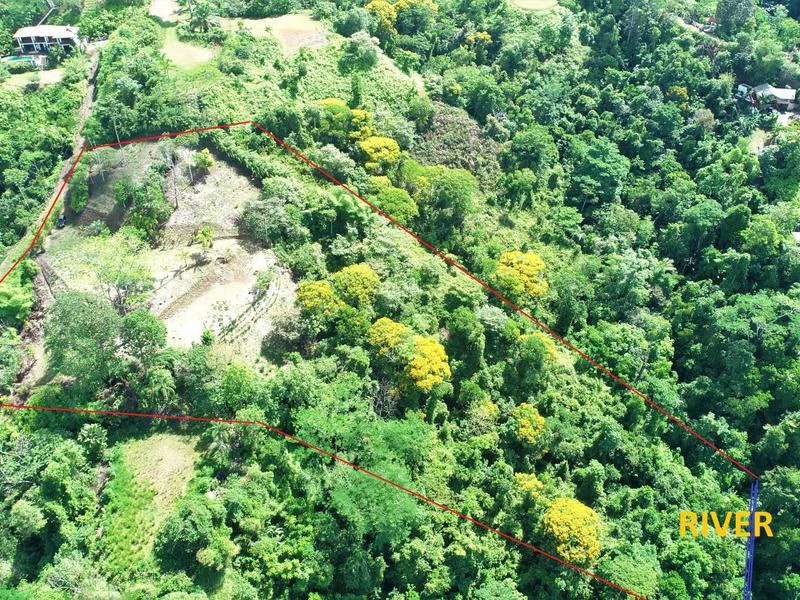 Captivating 3.15-Acre Property: Huge Pricedrop! Firesale Oceanview Lot in Tres Rios - Gallery image 2
