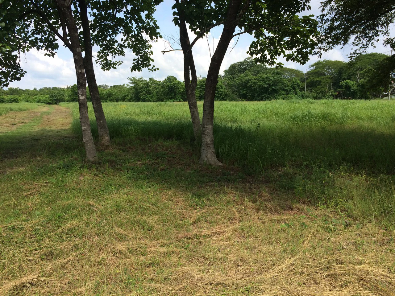Liberia Airport Property for Quick Sale, Just 5 Minutes from Airport entrance, on the main road, Route #21 - Gallery image 2