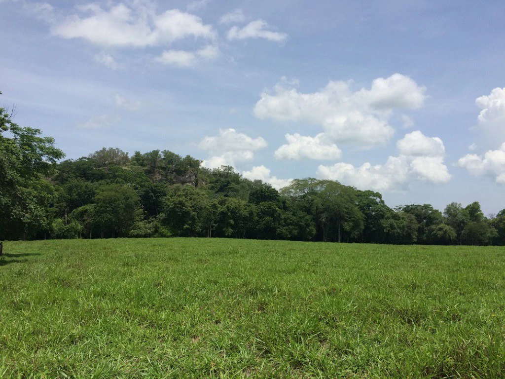 Propiedad de 79 hectáreas: Property of 79 hectares, located in Canas Dulces Liberia. - Gallery image 16