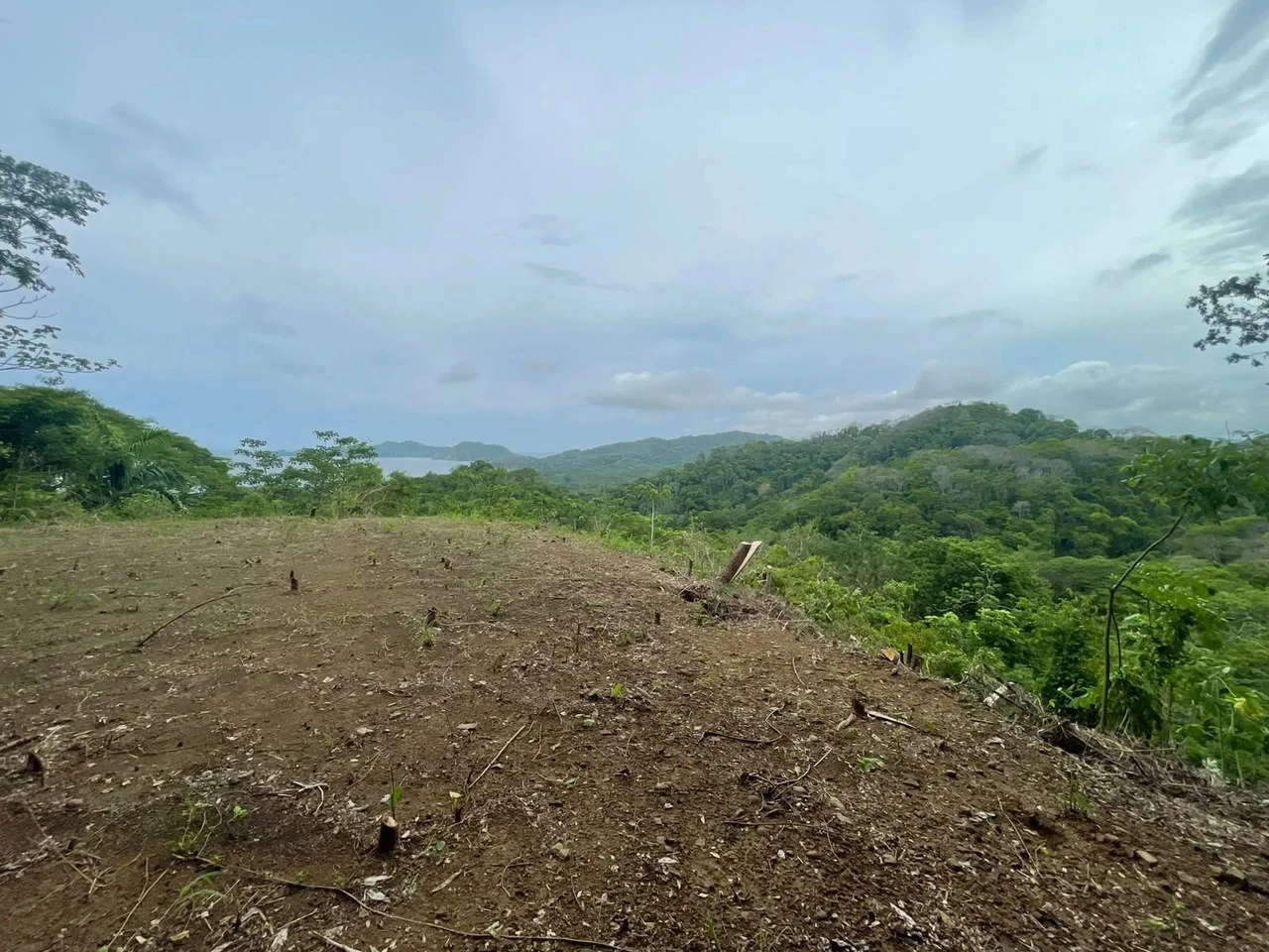 EXCEPTIONAL 5,608 m² (1.39-acre) property: 1.39-Acre Ocean View Property,  Near Paquera & Isla Tortuga - Gallery image 6