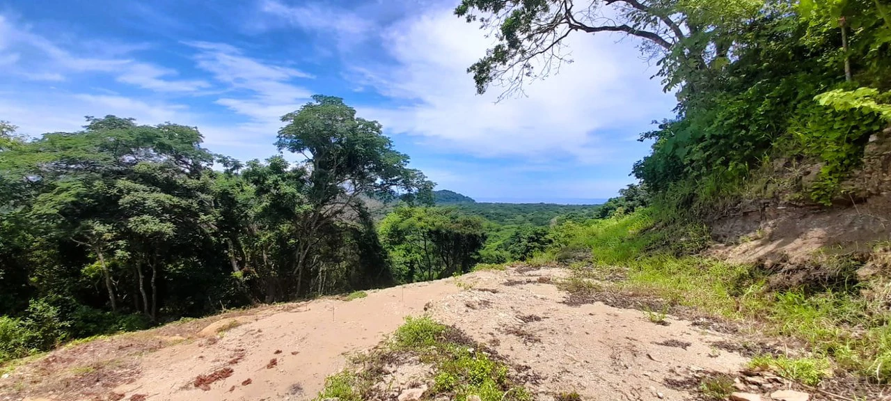 Buena Vista Ocean View Lot: Countryside and Mountain Home Construction Site For Sale in Buena Vista - Gallery image 4