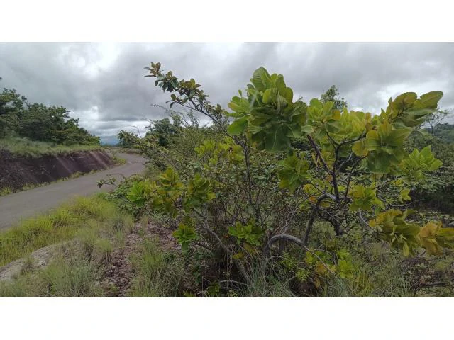 Huge Tico-Farm for sale with a big house in the mountains of Liberia, surrounded by nature and fantastic valley views - Gallery image 27