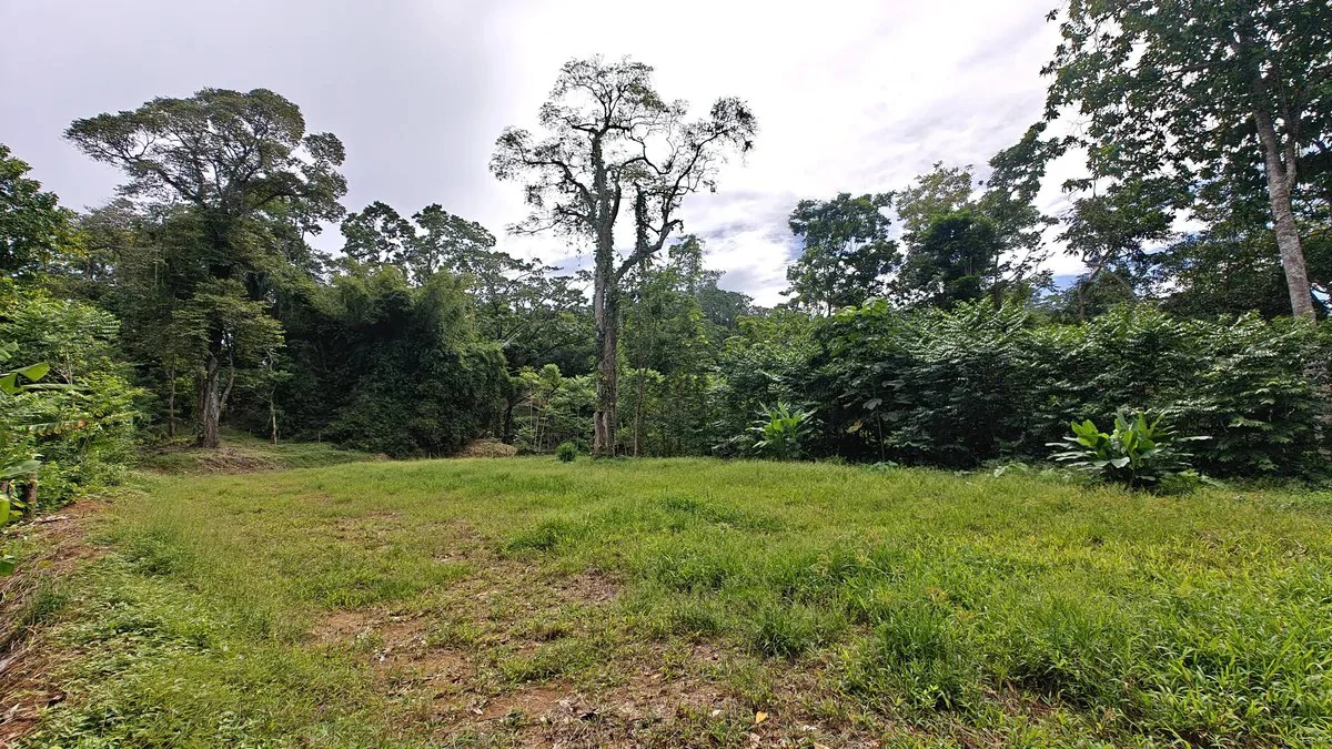 ID 345: 6,763m² Ocean View Development Land for Sale in Puerto Viejo - Gallery image 3