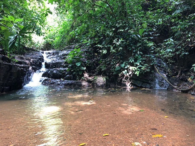 6.5 ACRES – Space To Grow, Build & Thrive, Close To The Beach & Commercial Potential Road Frontage!!!!!: Mountain and Countryside Development Parcel For Sale in Platanillo de Dominical - Gallery image 11