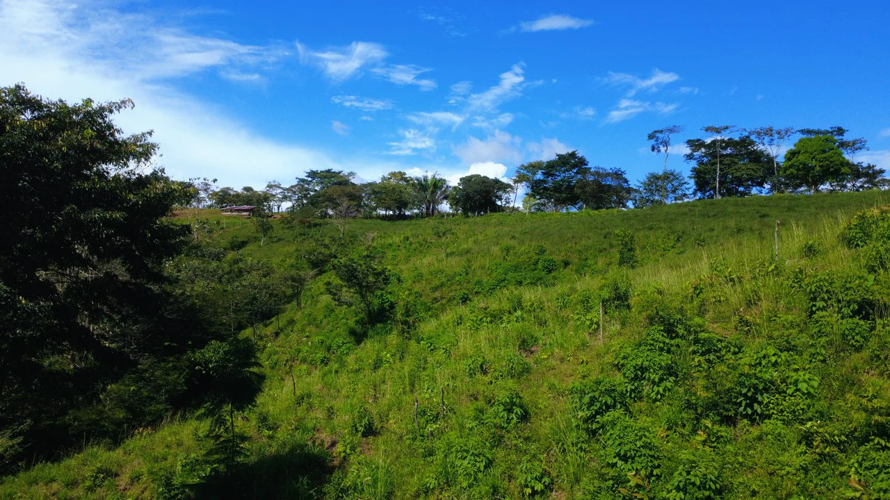 8HA EN VENTA, UBICADA EN BUENOS AIRES, PUNTARENAS.: Countryside Home Construction Site For Sale in Buenos Aires