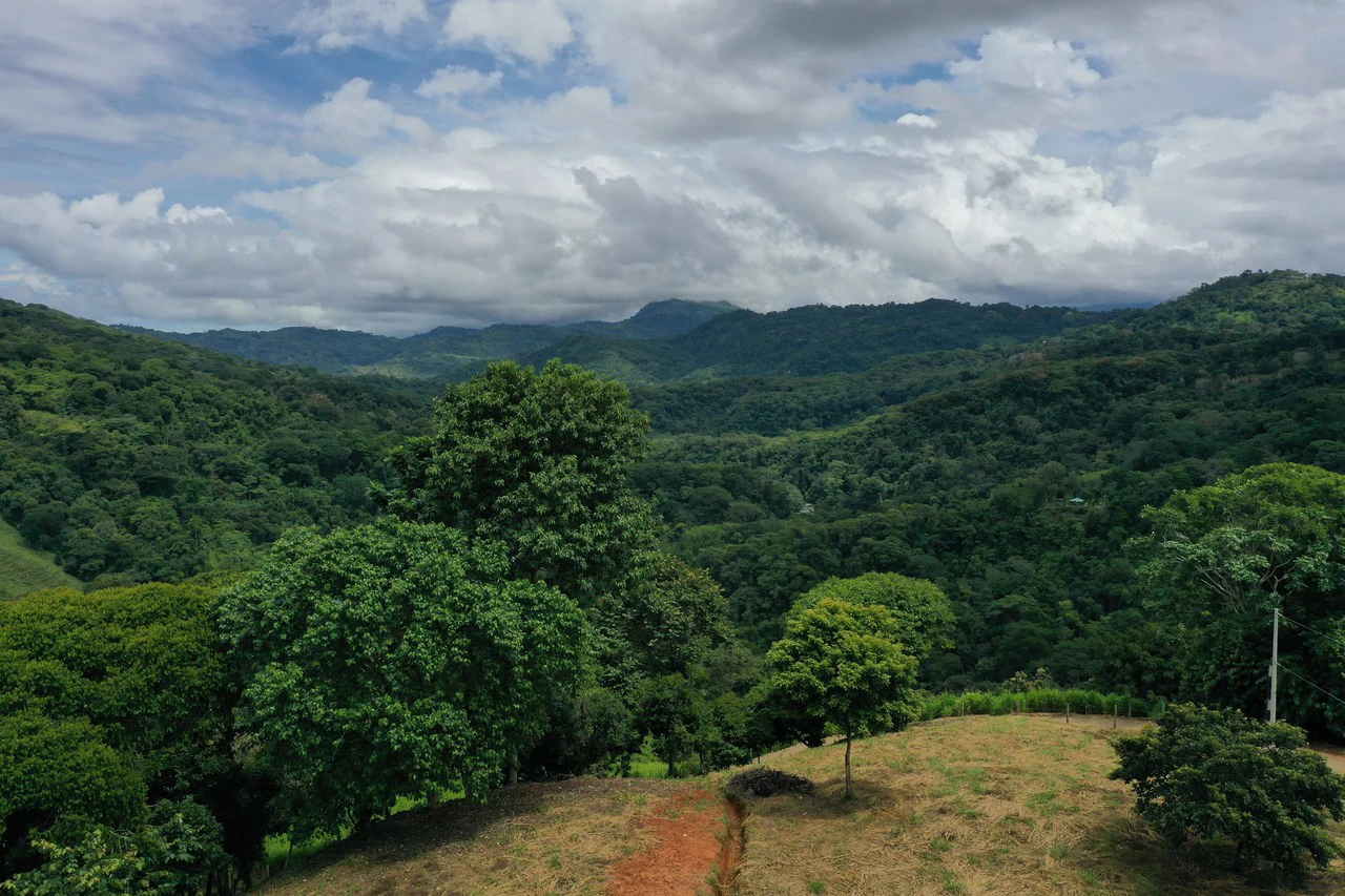 Playa Dominical Mountain Farming Property - Gallery image 7