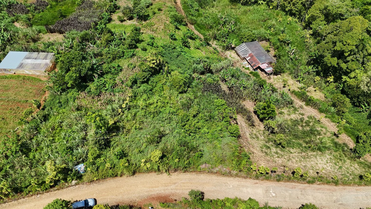 LOTE EN RIVAS: Mountain Agricultural Land For Sale in San Isidro del General