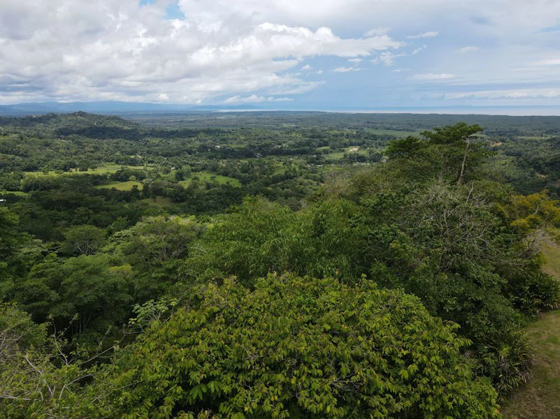 Panoramic 180 Degree Ocean View Lot Ready To Build Close To Ojochal - Gallery image 7