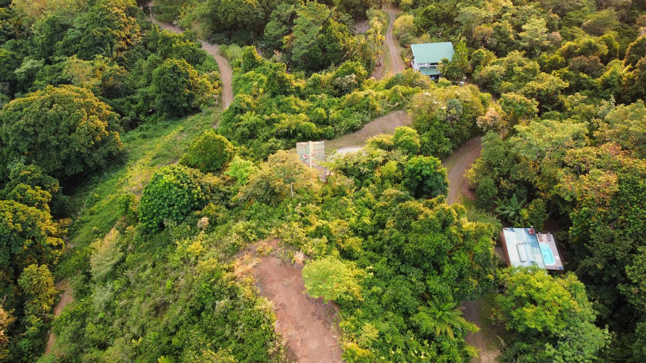 Casa Vista Hermosa: Nature refuge near Manuel Antonio National Park - Gallery image 34