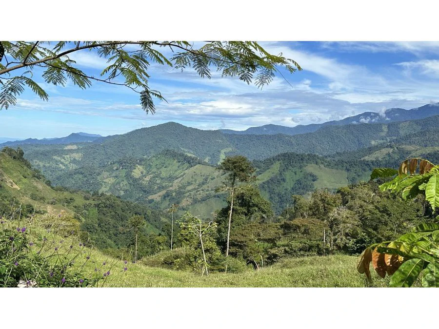 BEAUTIFUL MOUNTAIN VIEW FINCA WITH CABIN IN RIO NUEVO - Gallery image 12
