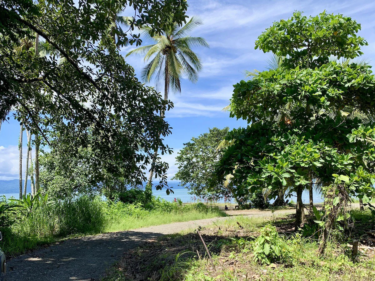 Titled Property Near The Golfo Dulce Coast - Gallery image 11