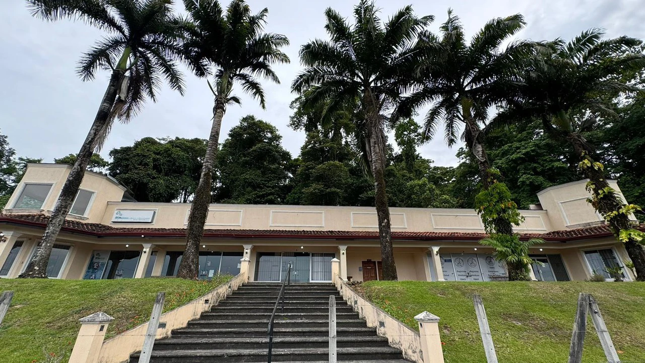 Solid investment in Limón: Consolidated commercial property in Siquirres: Mixed Use Building For Sale in Siquirres - Gallery image 10