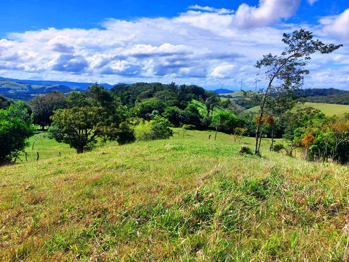 LA CABAÑA - COUNTRY ESTATE WITH HUGE POTENTIAL - Gallery image 25