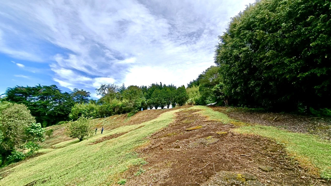 Farm for sale in Santa Barbara de Heredia - Gallery image 33