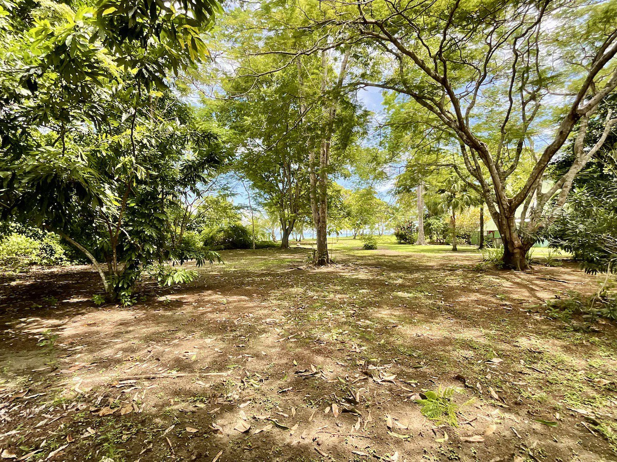 Punta Soñada: Point Break Beachfront Property Osa Peninsula - Gallery image 29