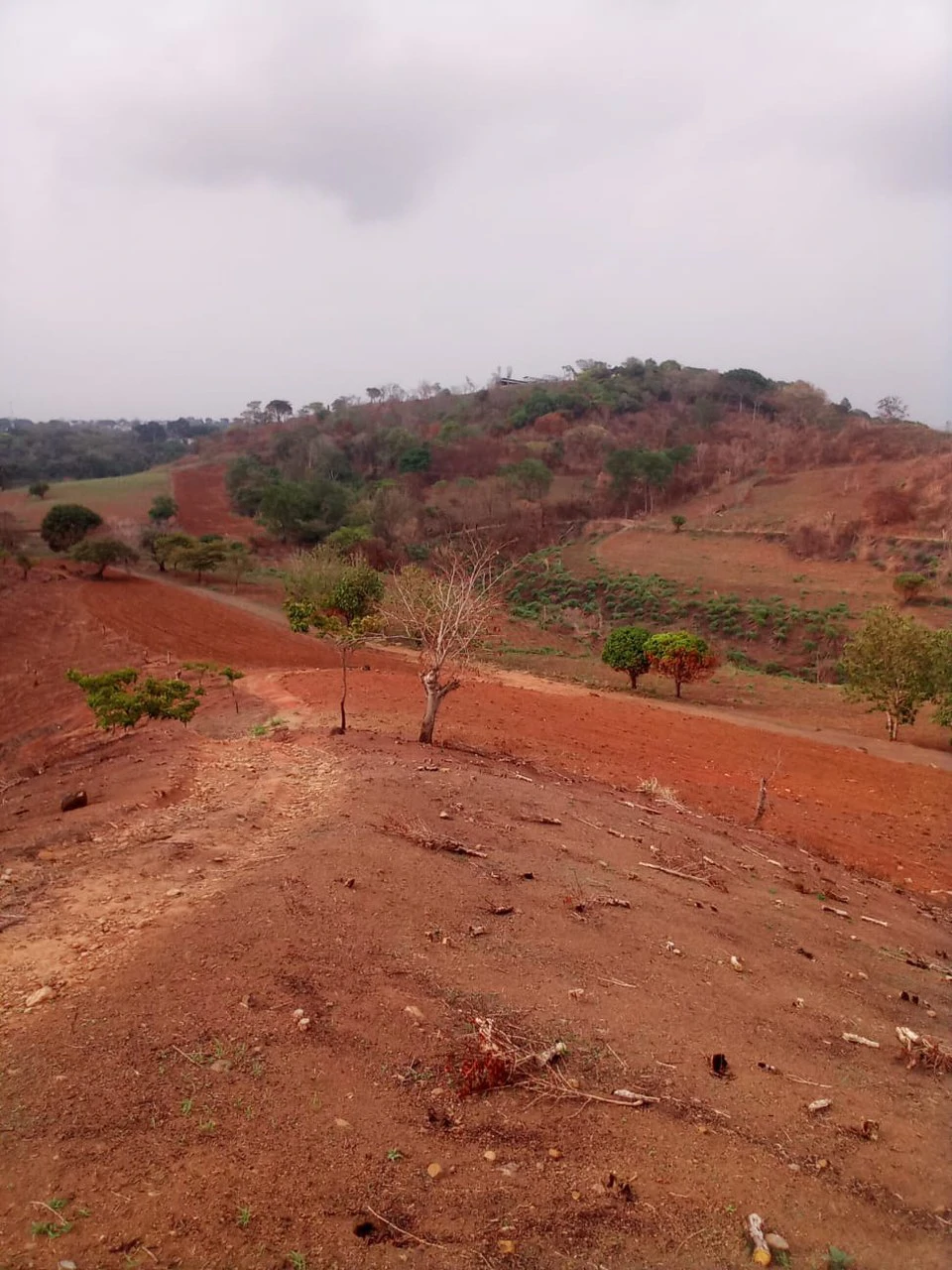 THE JEWEL OF GRECIA: $20m2 - 10 Hectares of Unlimited Potential! - Gallery image 3
