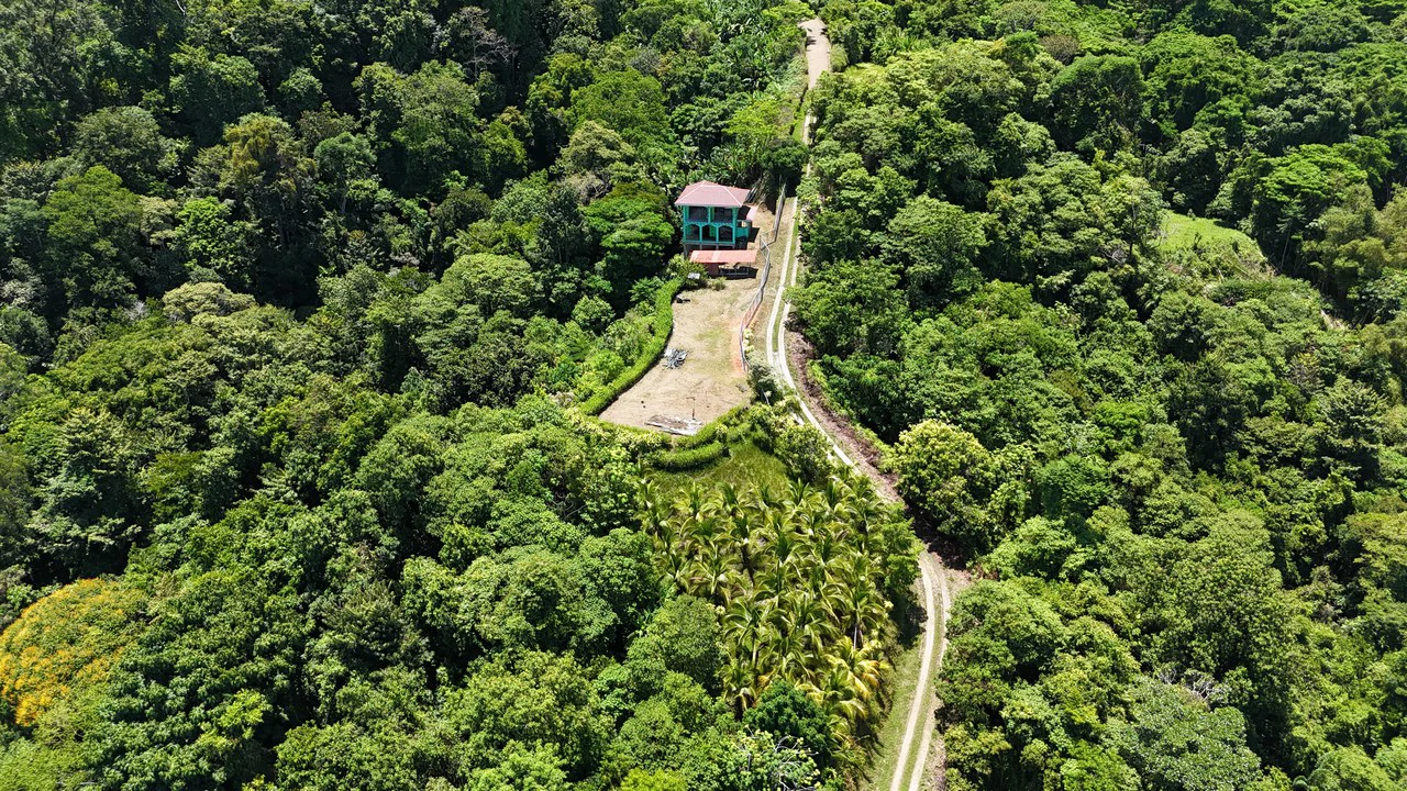Stunning Ocean View Property with Luxury Pre-construction Home waiting to be Customized - Gallery image 7