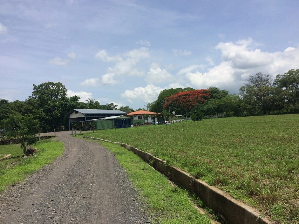 Propiedad de 79 hectáreas: Property of 79 hectares, located in Canas Dulces Liberia.