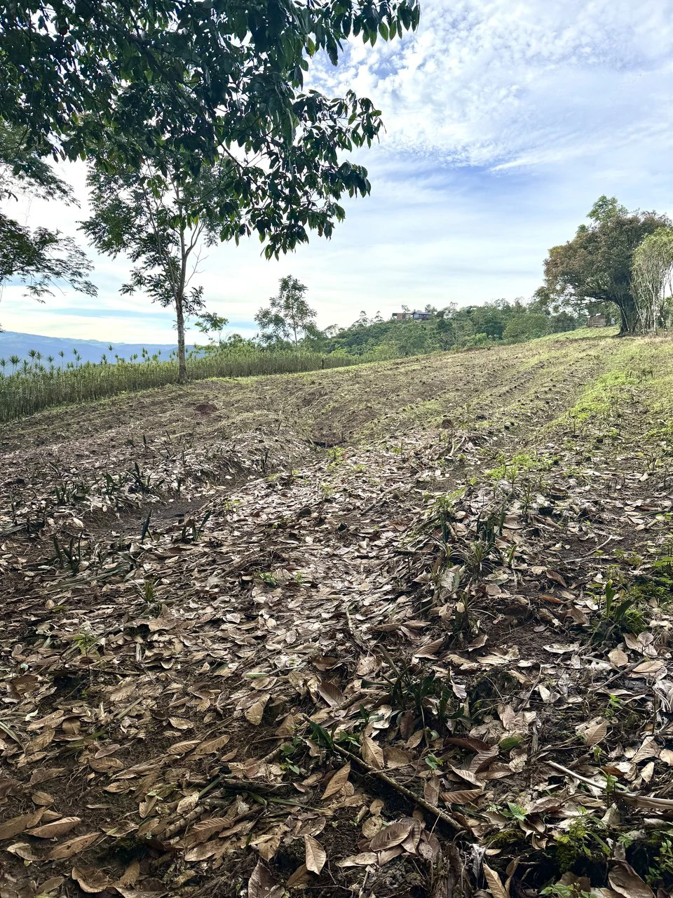 Spectacular views 13.81 acres lot - Great Location for dream home or cabins - photo 4