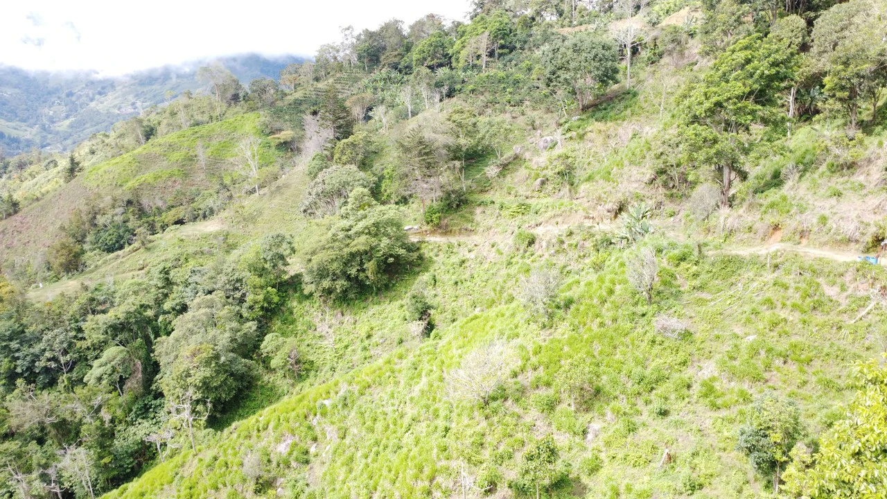 LOTE EN HERRADURA RIVAS.: Mountain Agricultural Land For Sale in San Isidro del General - Gallery image 15