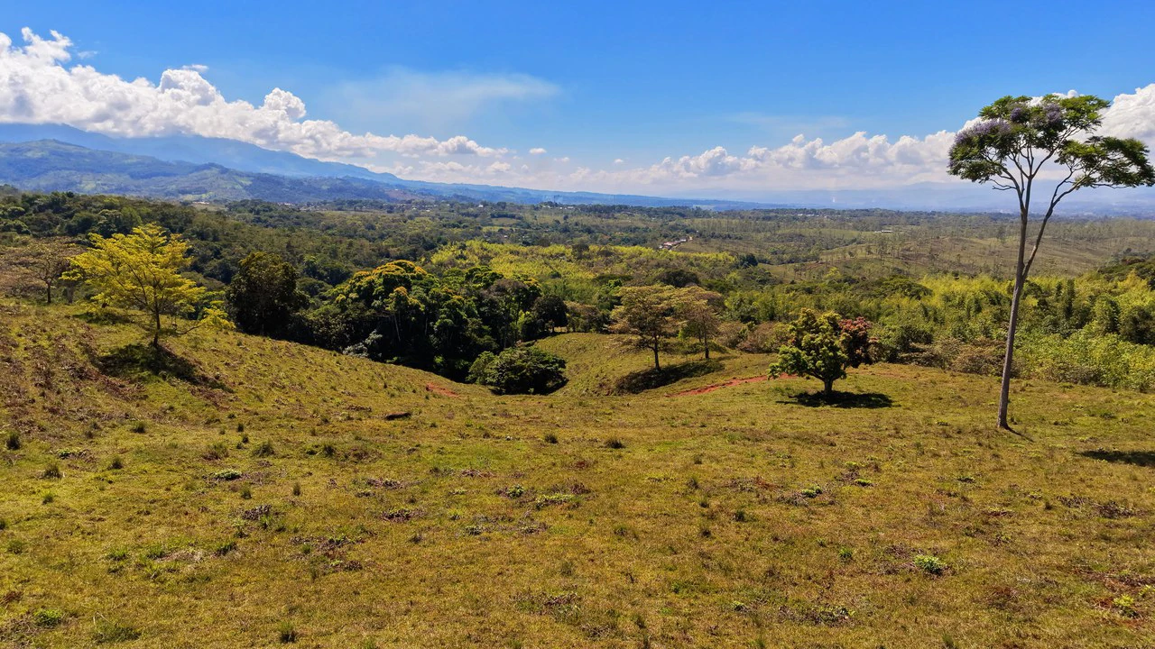 Agricultural Land For Sale in MORAZAN - Gallery image 12