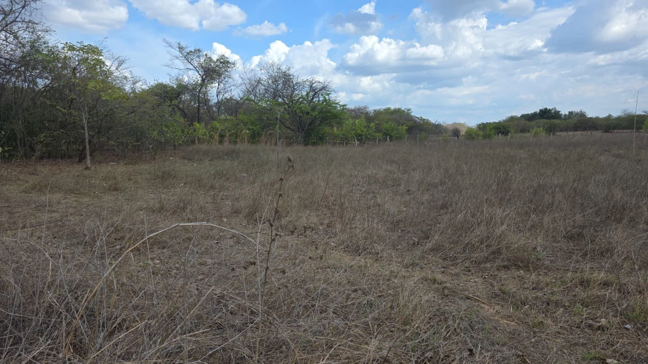 Property for Sale Near Liberia Airport with High Exposure and 60 Meters Frontage on Route 21, with Public Utilities - Gallery image 4