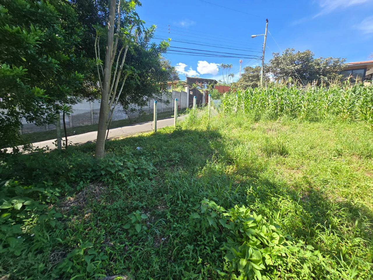 Land for sale in Tambor, Alajuela - Gallery image 15