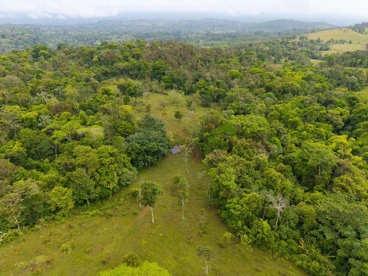 Finca Las Zompopas-Río Celeste: 113-Acre Biodiverse Property in Bijagua, Ideal for Eco-Tourism, Private Retreats, or Sustainable Development - Gallery image 34