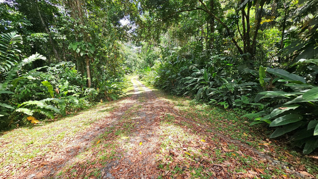 8001 sqm of  Off-Grid Raw Jungle land in Gated Community near Punta Uva