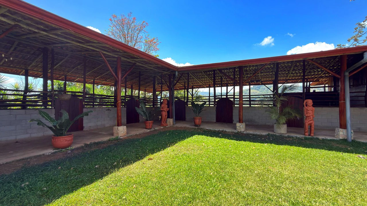 Agricultural Land For Sale in Daniel Flores - Gallery image 29
