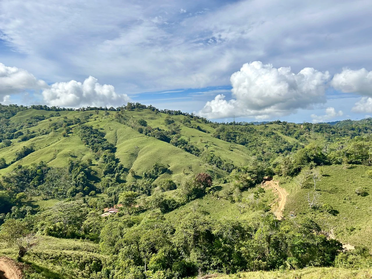 Finca Ceibo Memo: Mountain Home Construction Site For Sale in San Isidro del General - Gallery image 25
