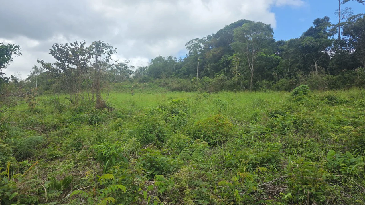 Expansive Year-Round Green Agricultural Property with Rolling Hills and a River – One Hour from Liberia - Gallery image 10
