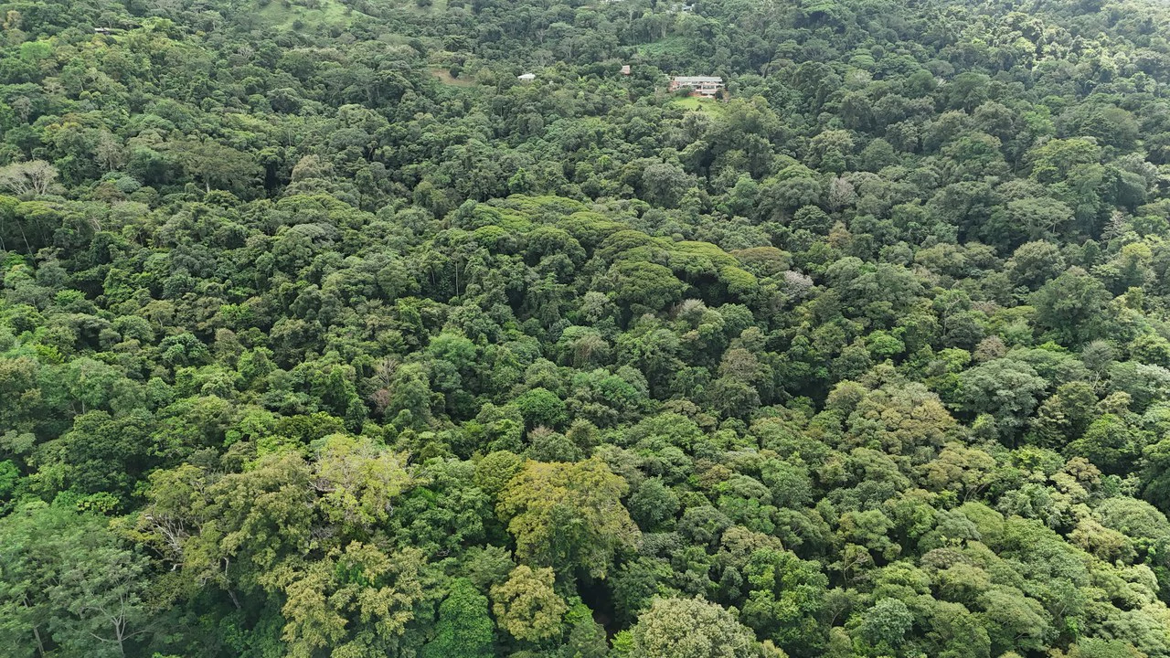 Finca Las Cataratas in Ballena: Mountain Home Construction Site For Sale in Bahía Ballena - Gallery image 5