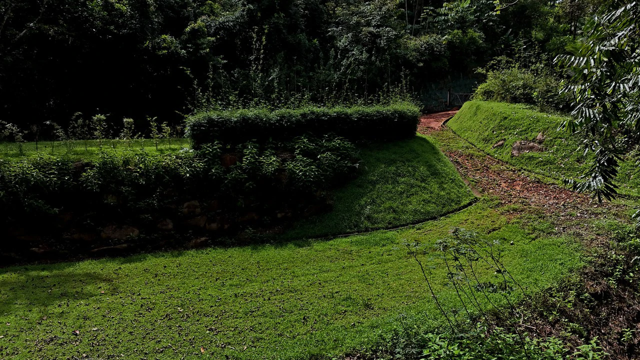 Tropical Paradise in Uvita: 939 sqm Property with Dual Building Sites, 5 Minutes from the Beach - Gallery image 7
