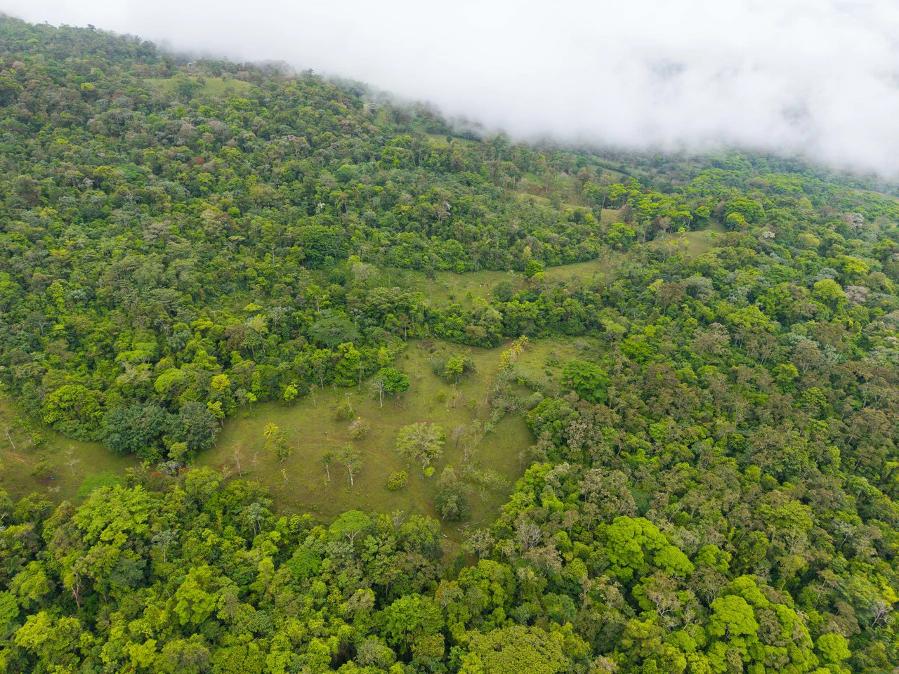 Finca Las Zompopas-Río Celeste: 113-Acre Biodiverse Property in Bijagua, Ideal for Eco-Tourism, Private Retreats, or Sustainable Development - Gallery image 11
