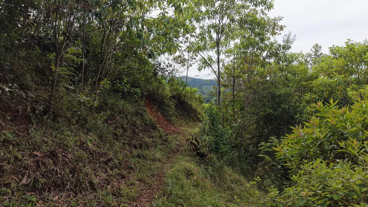 Mountain Home Construction Site For Sale in San Isidro del General - photo 11