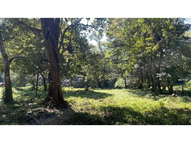 Nature Paradise Farm for sale in the mountains of Quebrada Grande, Building potential property 30 minutes away from Liberia - Gallery image 2