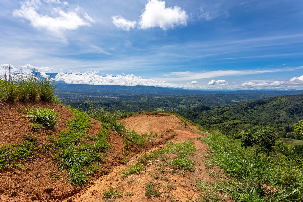 12 Acre Fruit Farm Above San Isidro City Lights Chirripó Views and Deep Well Water - Gallery image 20