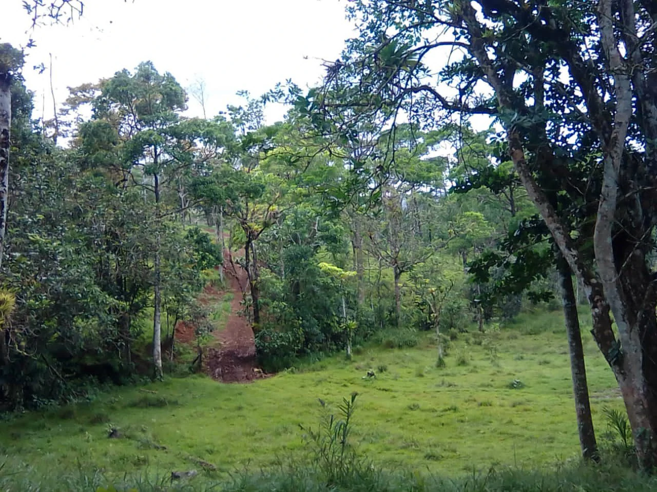 Cattle farm for sale in Aguas Claras with 1 corral and enchanting views - Gallery image 9