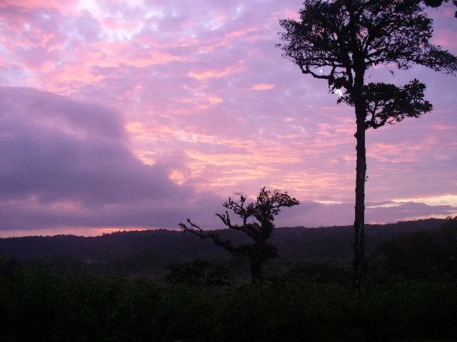 NATURE LOVERS PARADISE ! Jungle home on 25 acres with beautiful views - Gallery image 20
