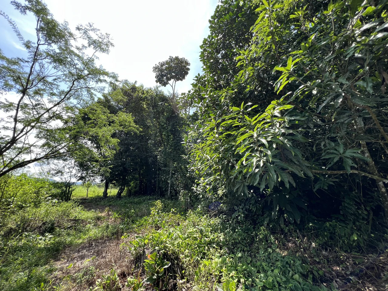 Countryside Home Construction Site For Sale in Convento - photo 5