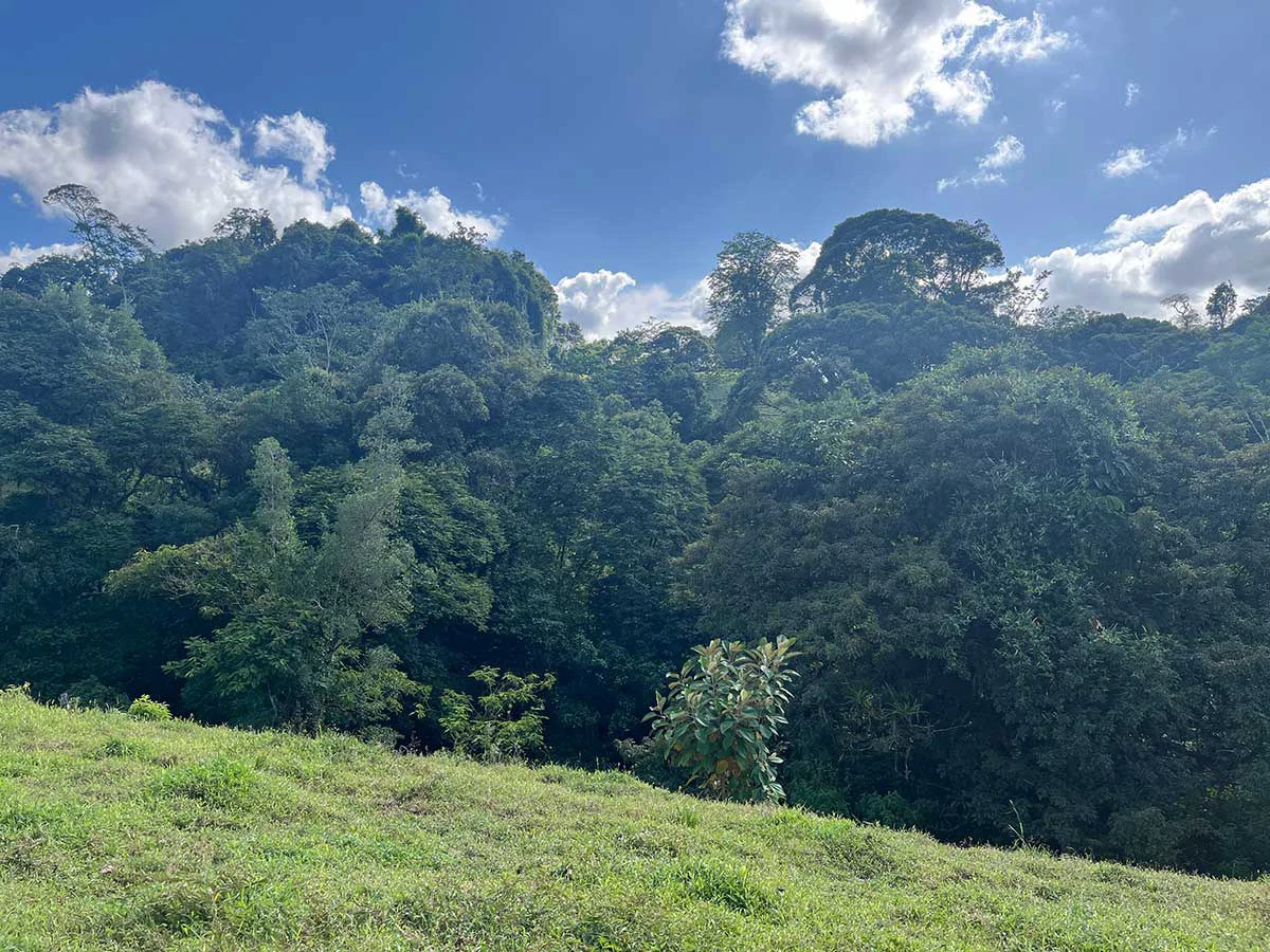 ID 4161: Expansive Farm for Sale in Sarapiquí, Heredia: Pastureland, Rivers & Private Fores - Gallery image 9
