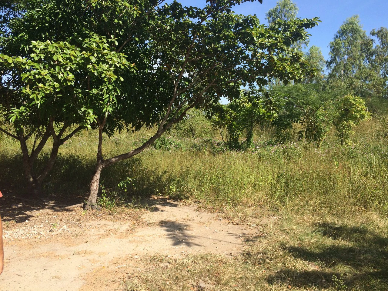 Propiedad para uso comercial: Warehouses for sale front route # 21 Liberia - Airport - Discovery - Gallery image 8