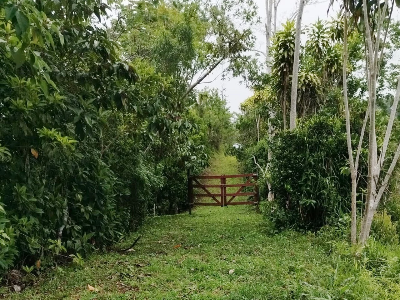 Beautiful Farm in La Guaria with Endless Opportunities! - Gallery image 5